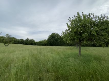 Vente terrain Guéret Creuse